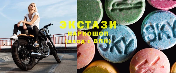 ECSTASY Горняк