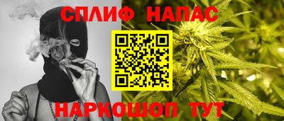 дурь Кингисепп