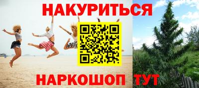 дурь Кингисепп