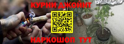 гидропоника Берёзовский