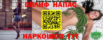 дурь Кингисепп