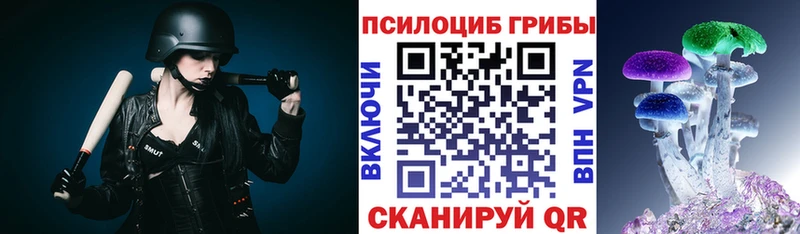 Галлюциногенные грибы Psilocybe  Крымск 