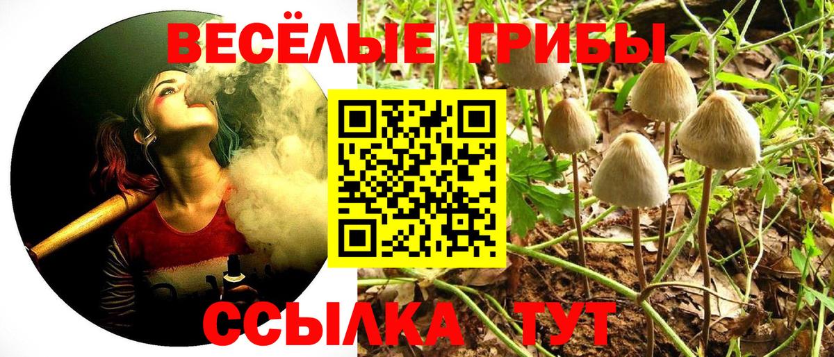 ГАШИШ  Вход с VPN  Крымск  Alpha-PVP СОЛЬ кристаллы  Мефедрон кристаллы  COCAIN  ГАШИШ 