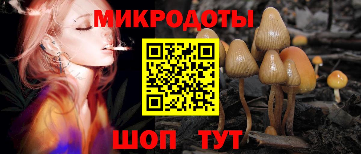 Псилоцибиновые грибы GOLDEN TEACHER  Крымск 