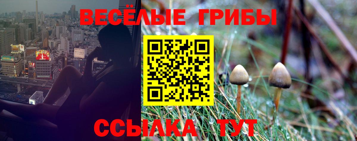 Псилоцибиновые грибы Magic Shrooms Крымск