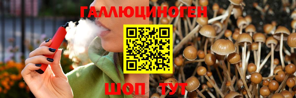Крымск  Галлюциногенные грибы мухоморы  Вход с VPN 